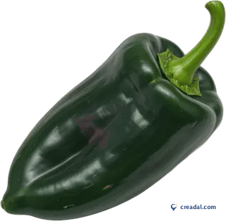 Fresh Poblano Pepper