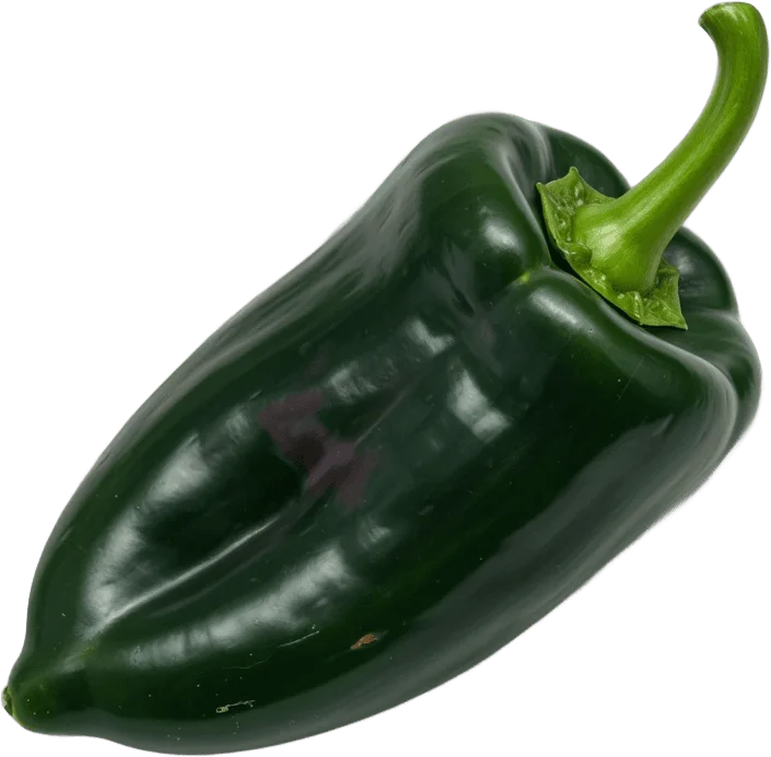 Fresh Poblano Pepper