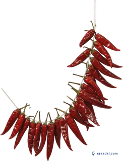Dried Chili Ristra