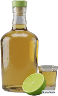 Tequila Bottle with Lime