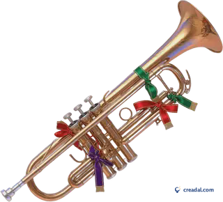 Shiny mariachi trumpet