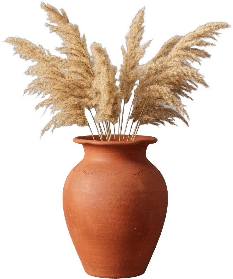 Vaso terracota com pampas