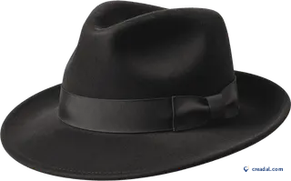 Fedora Noir en Feutre