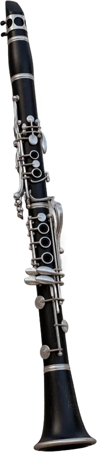Black Clarinet Illustration