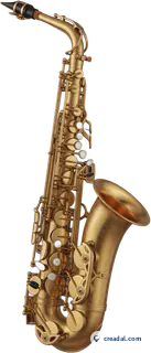 Golden Alto Saxophone