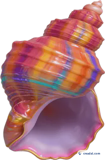 Spiral seashell
