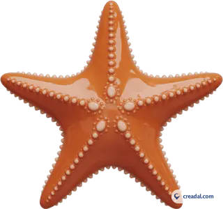 Orange starfish