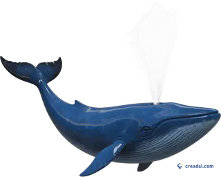 Blue Whale Spout