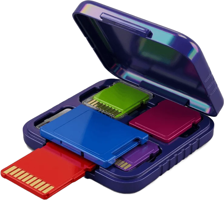 Memory card case