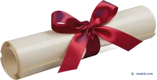 Tied Parchment Scroll
