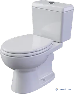 White toilet cutout