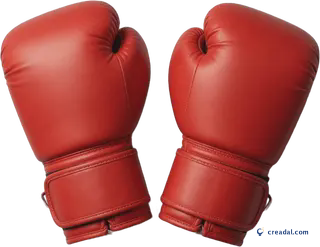 Red Boxing Gloves