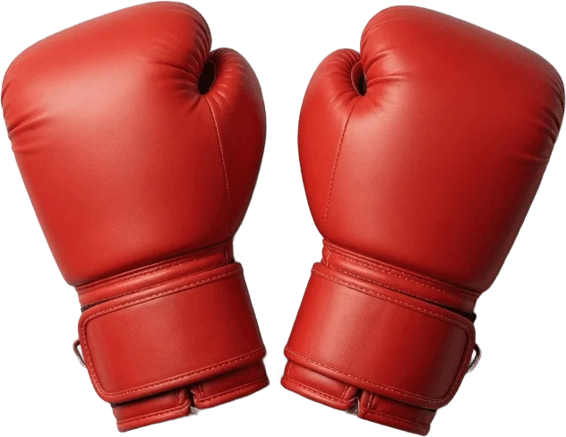Gants de boxe rouges