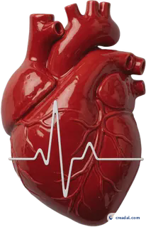 Glossy heart pulse
