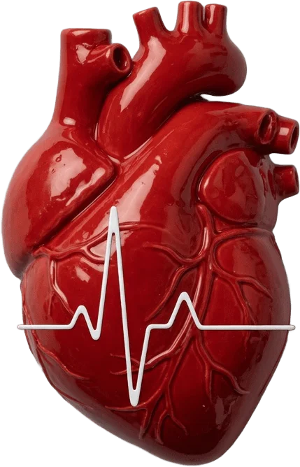 Glossy heart pulse