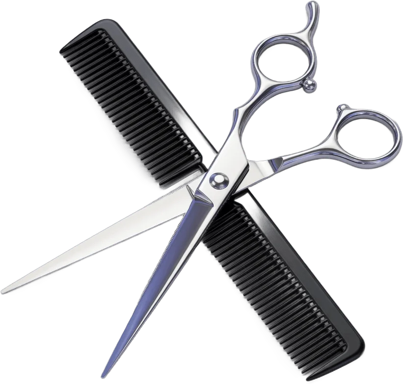Silver scissors and comb