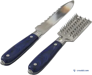 Fischmesser und Schupper