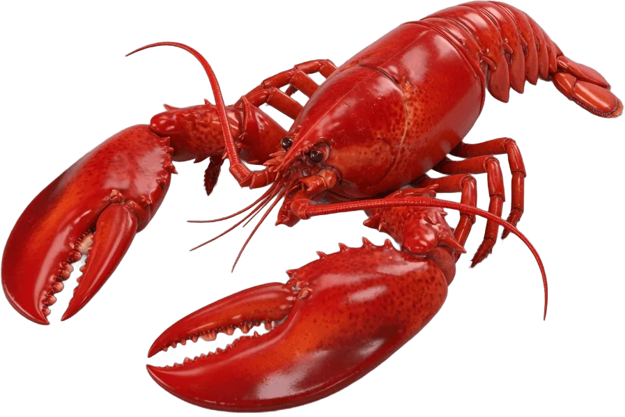 Red Cooked Lobster