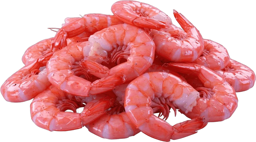 Crevettes Roses Cuites