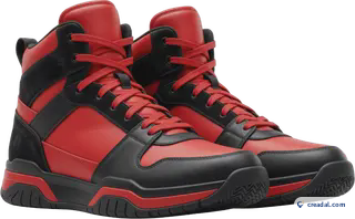 Baskets montantes de basket