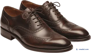 Richelieus cuir brun