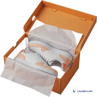 Boîte à chaussures ouverte