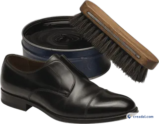 Cirage et brosse