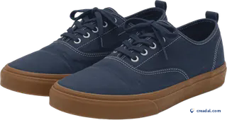 Baskets skate toile marine