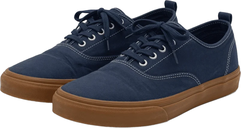 Baskets skate toile marine