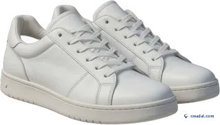 Baskets basses blanches