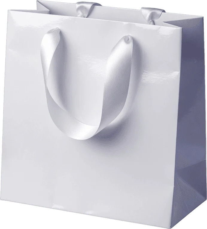 Sac Boutique Blanc