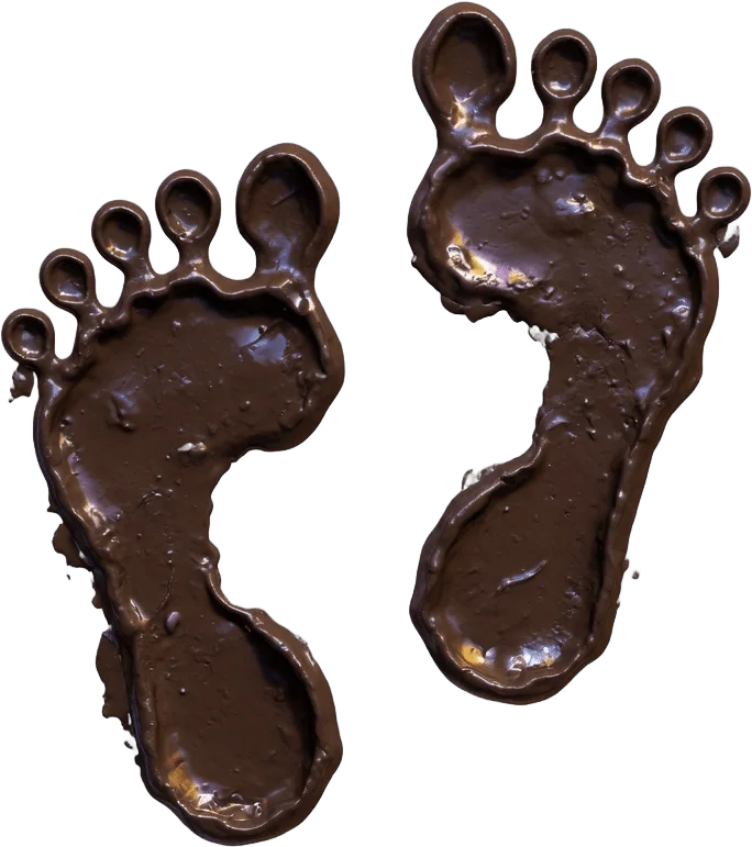 Footprints in Mud
