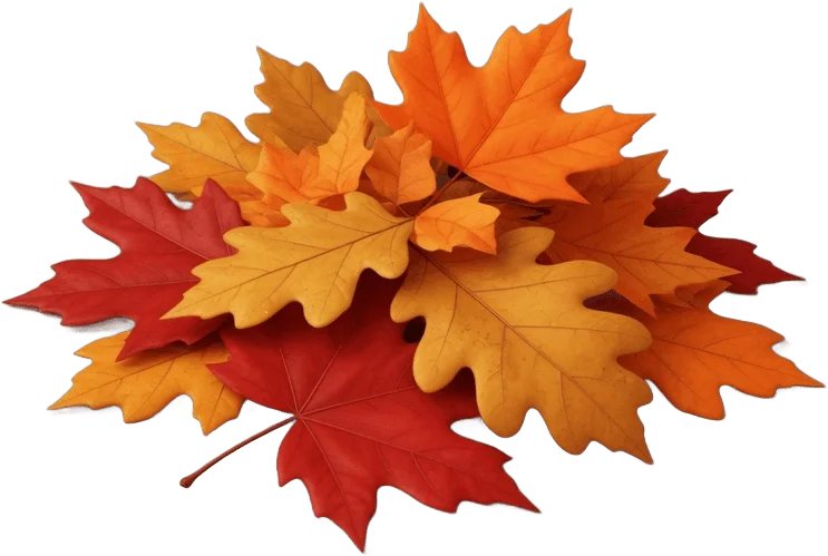 Autumn Leaf Pile