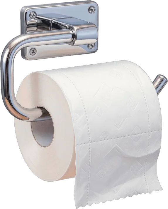 Chrome Toilet Paper Holder