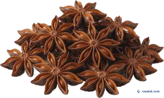 يانسون نجمي بني