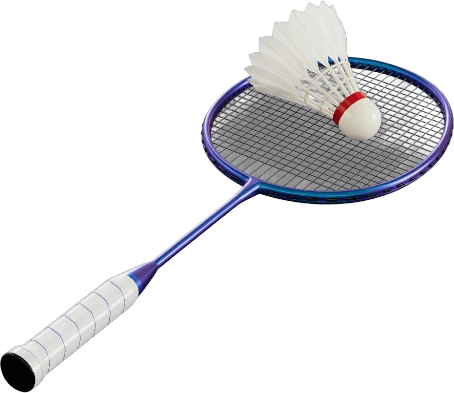 Badminton racket and shuttlecock