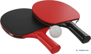Raquettes de Ping-Pong