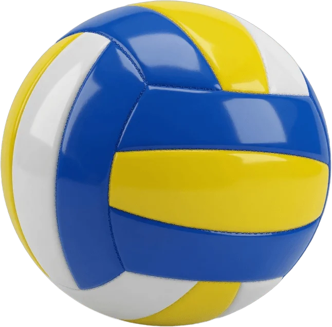 Ballon de volley
