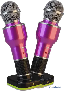Wireless Karaoke Microphones