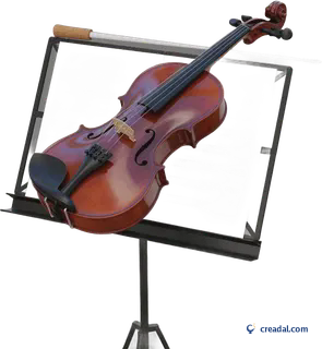 Violin and Baton