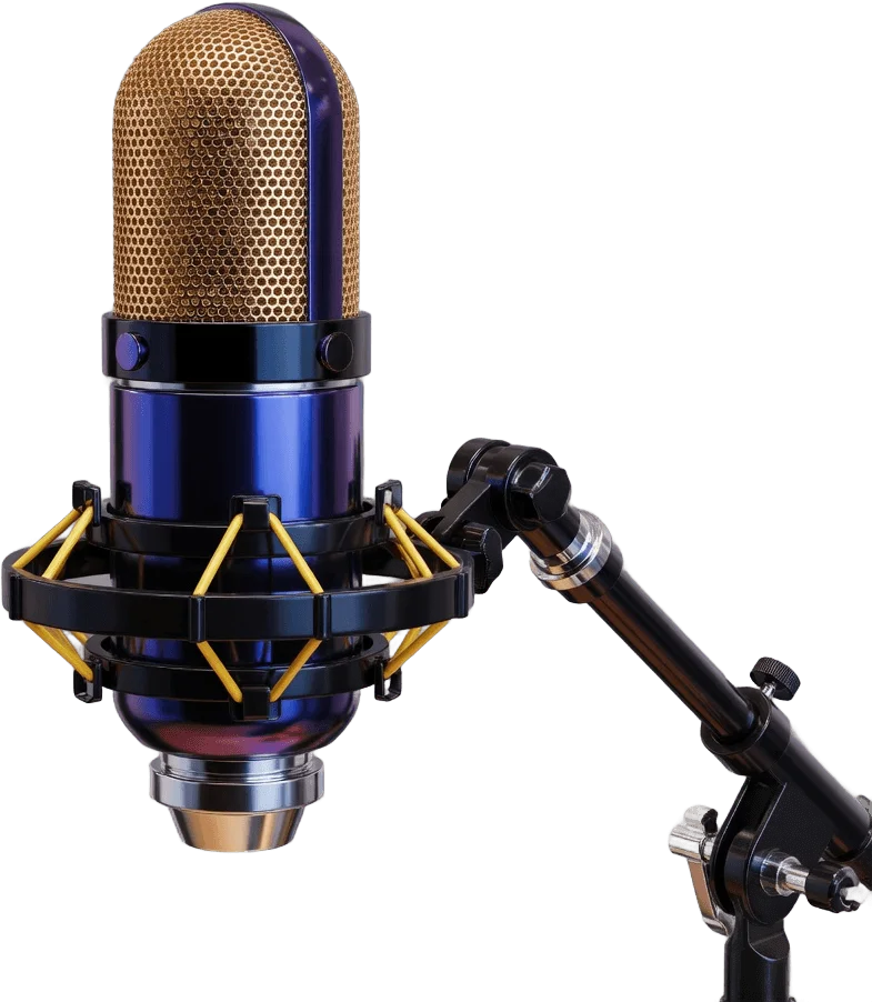 Condenser boom microphone