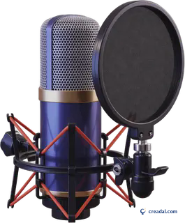 Studio Condenser Microphone