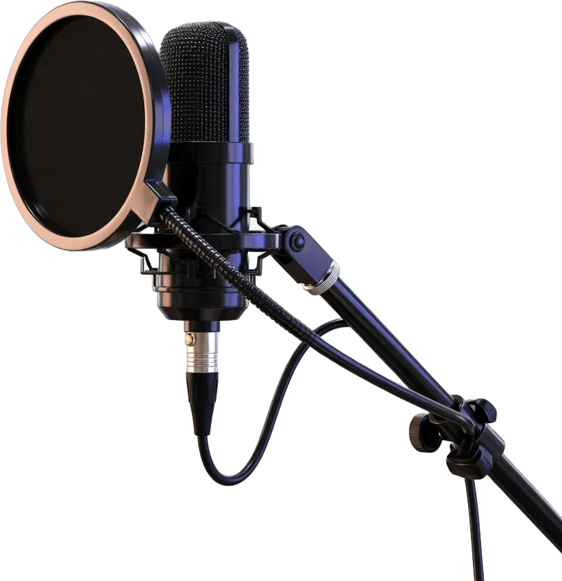 Boom Microphone Pop Filter