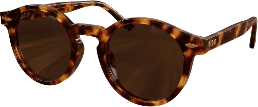 Lunettes Écaille Rondes