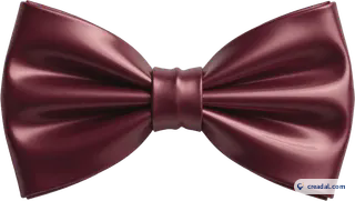 Burgundy Bow Tie