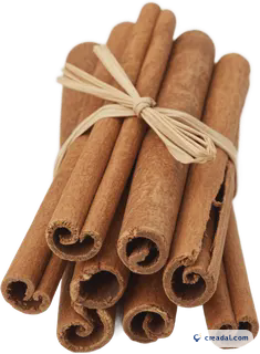 Tied cinnamon sticks