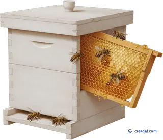 White wooden beehive