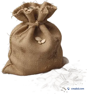 Burlap Seed Sack