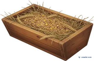 Wooden Feeding Trough