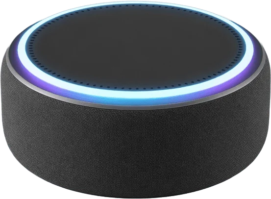 Grey Smart Speaker